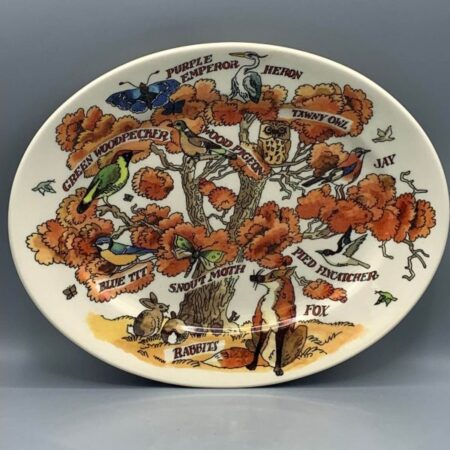 Small Oval Platter In An Oak Tree, In The Woods