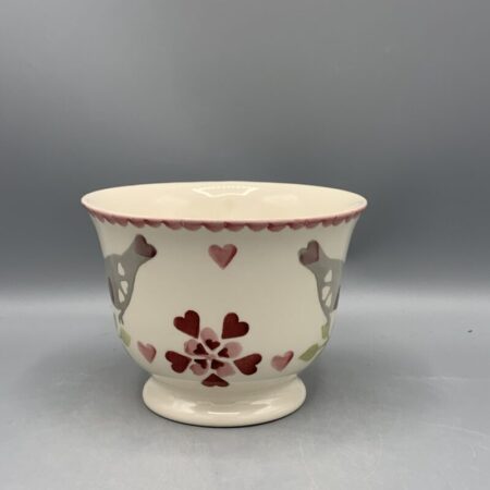Large Teacup Lovebirds B-Keuze